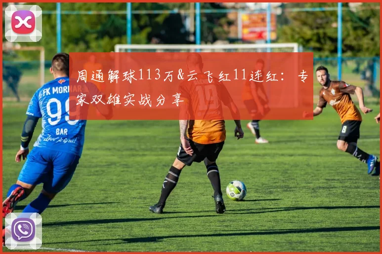 周通解球113万&云飞红11连红：专家双雄实战分享
