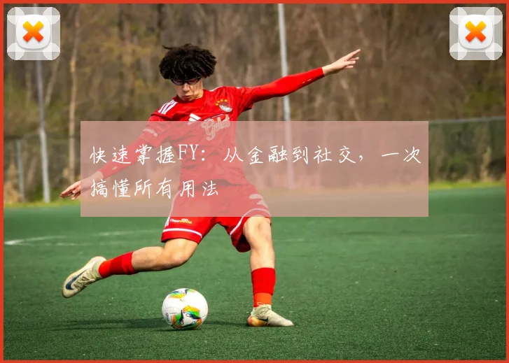 快速掌握FY：从金融到社交，一次搞懂所有用法